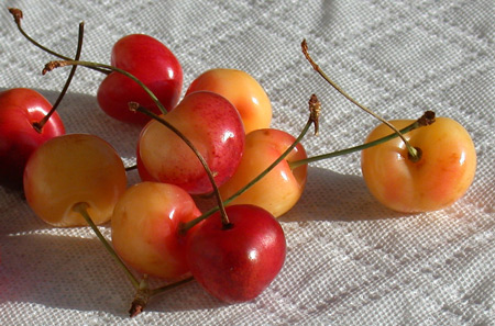 Image - yellow and red cherries